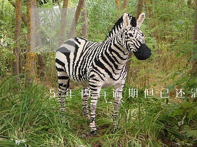 5年内有逾期但已还清 5年内有逾期但已还清