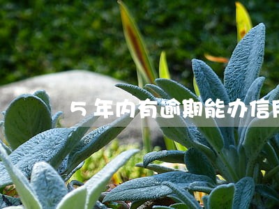 5年内有逾期能办信用卡 5年内有逾期能办信用卡