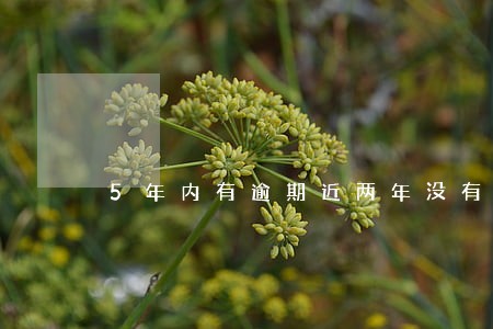 5年内有逾期近两年没有 5年内有逾期近两年没有