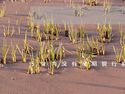 5年内没有逾期银行拒绝 5年内没有逾期银行拒绝