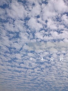5年内的信贷逾期90天 5年内的信贷逾期90天