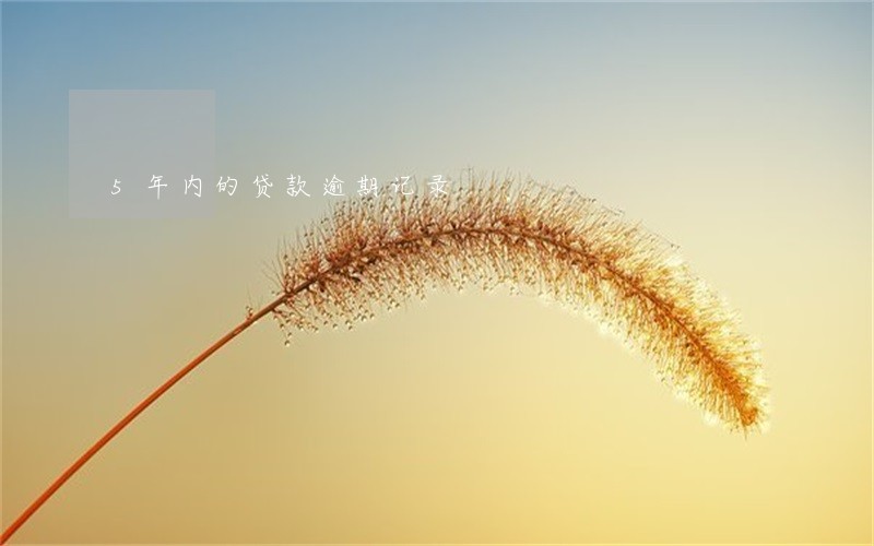 5年内的贷款逾期记录 5年内的贷款逾期记录