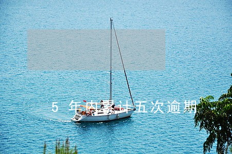5年内累计五次逾期 5年内累计五次逾期