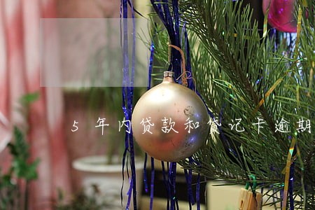 5年内贷款和贷记卡逾期记录 5年内贷款和贷记卡逾期记录