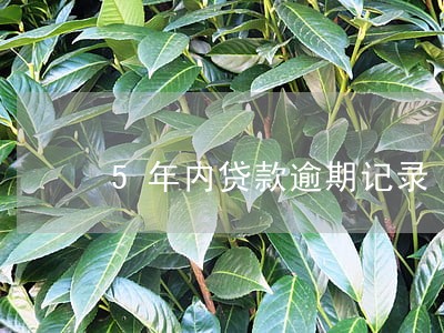 5年内贷款逾期记录 5年内贷款逾期记录