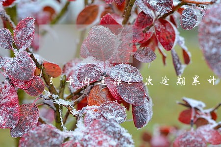 5年内连续2次逾期累计10次 5年内连续2次逾期累计10次