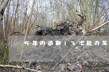 5年内逾期13次能办车贷吗