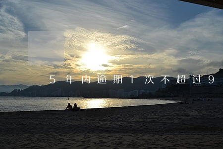 5年内逾期1次不超过90天 5年内逾期1次不超过90天