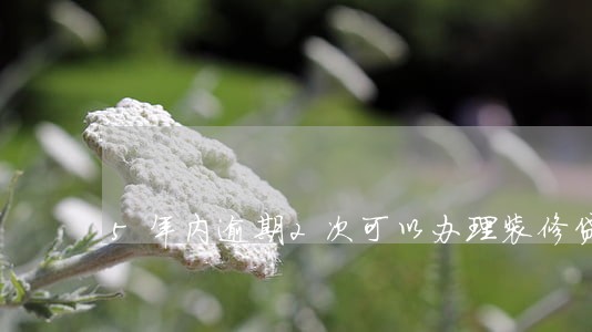 5年内逾期2次可以办理装修贷吗