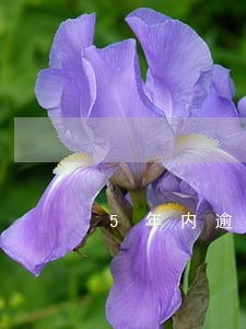 5年内逾期4次可以申请房贷吗 5年内逾期4次可以申请房贷吗