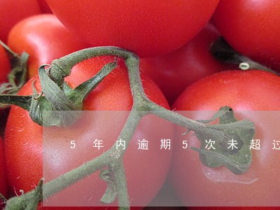 5年内逾期5次未超过90天 5年内逾期5次未超过90天