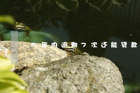 5年内逾期7次还能贷款吗 5年内逾期7次还能贷款吗