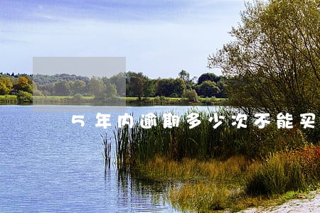 5年内逾期多少次不能买房