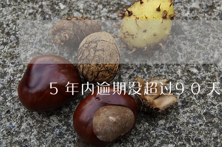 5年内逾期没超过90天 5年内逾期没超过90天
