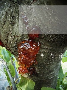 5年内逾期记录的具体时间 5年内逾期记录的具体时间