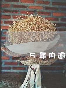 5年内逾期记录的影响 5年内逾期记录的影响