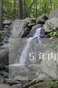 5年内逾期记录能消除吗 5年内逾期记录能消除吗