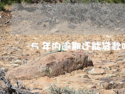 5年内逾期还能贷款吗 5年内逾期还能贷款吗