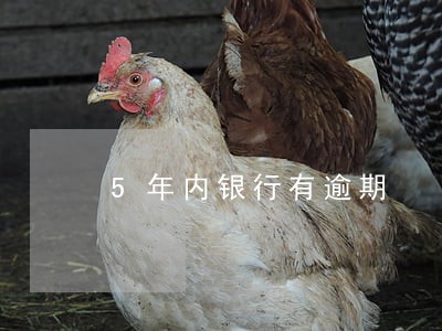5年内银行有逾期 5年内银行有逾期