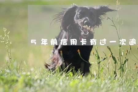 5年前信用卡有过一次逾期 5年前信用卡有过一次逾期