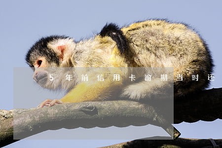 5年前信用卡逾期当时还了没注销 5年前信用卡逾期当时还了没注销