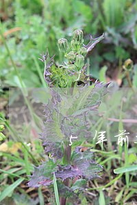 5年前建行逾期还能在建行贷款 5年前建行逾期还能在建行贷款