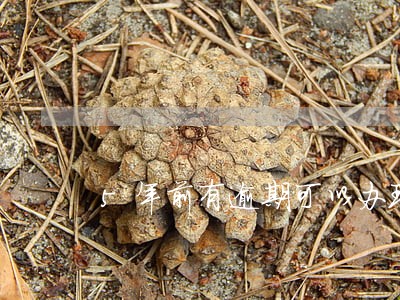 5年前有逾期可以办理房贷吗 5年前有逾期可以办理房贷吗