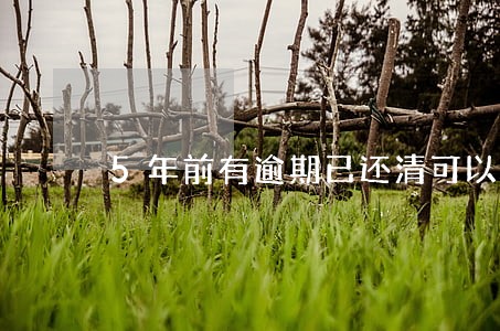 5年前有逾期已还清可以车贷吗 5年前有逾期已还清可以车贷吗