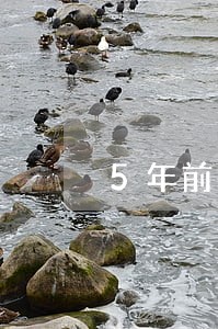 5年前有逾期能办理信用卡吗 5年前有逾期能办理信用卡吗