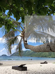 5年前有逾期还可以办信用卡吗 5年前有逾期还可以办信用卡吗