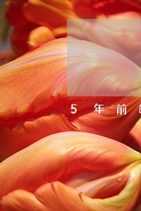 5年前的信用卡逾期怎么还