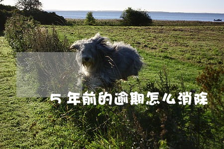 5年前的逾期怎么消除