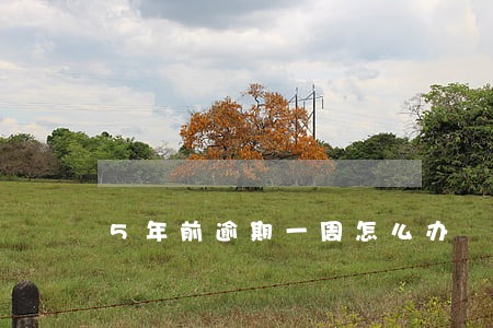 5年前逾期一周怎么办 5年前逾期一周怎么办