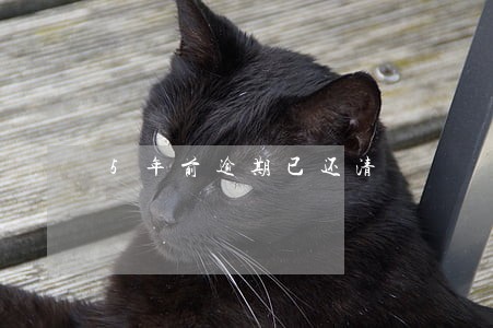 5年前逾期已还清 5年前逾期已还清