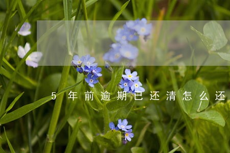 5年前逾期已还清怎么还能查到 5年前逾期已还清怎么还能查到