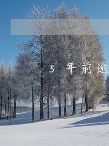 5年前逾期现在征信不显示 5年前逾期现在征信不显示