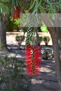 5年十几次小额逾期 5年十几次小额逾期