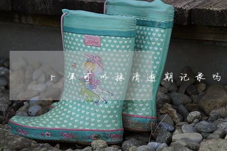 5年可以抹清逾期记录吗 5年可以抹清逾期记录吗