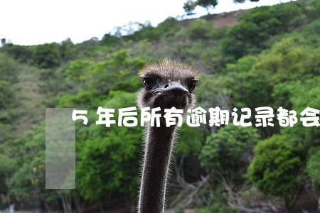 5年后所有逾期记录都会消除吗 5年后所有逾期记录都会消除吗