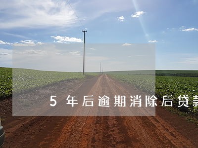 5年后逾期消除后贷款 5年后逾期消除后贷款