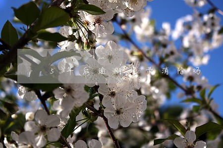 5年后逾期记录消除吗 5年后逾期记录消除吗