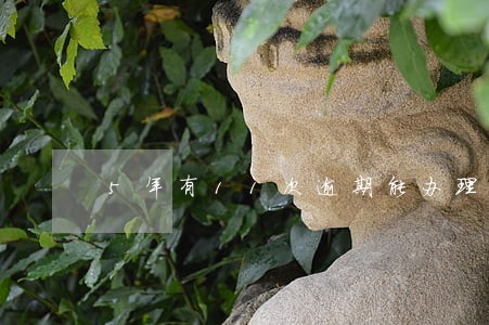 5年有11次逾期能办理房贷吗 5年有11次逾期能办理房贷吗