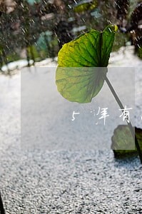 5年有2次信用卡逾期 5年有2次信用卡逾期