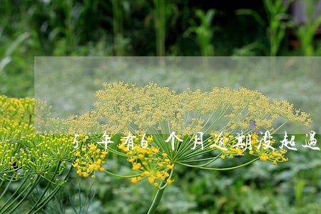 5年有6个月逾期没超过90天 5年有6个月逾期没超过90天