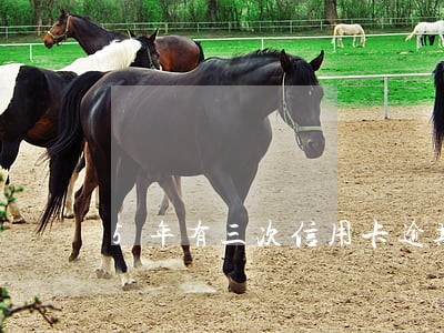 5年有三次信用卡逾期 5年有三次信用卡逾期
