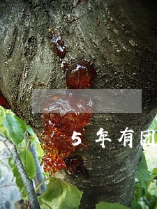 5年有团队德阳刑事自诉在线律师 5年有团队德阳刑事自诉在线律师