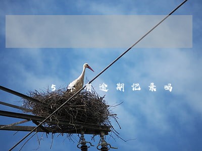 5年有逾期记录吗 5年有逾期记录吗