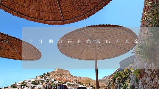 5年期只还利息最后还本金 5年期只还利息最后还本金