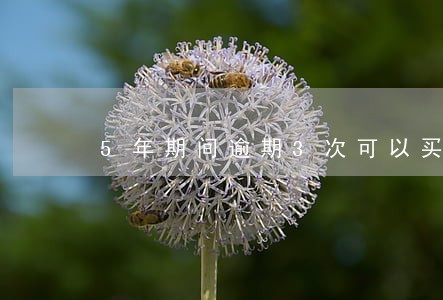 5年期间逾期3次可以买房嘛