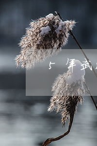 5年武汉刑事犯罪辩护在线律师